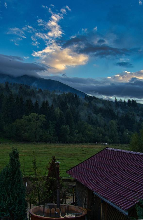 Pensiunea Mara *** Borşa Exterior foto